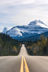 Wall Mural - Scenic view of a road winding through snowy mountain forest