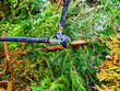 © Wirestock - Metal tree loppers being used to cut through branches on a tree