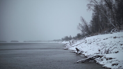 Wall Mural - Beautiful winter sea shore with snow. Clip. Beach with sticks and trees on snowy winter day. Beautiful snow-covered lake shore on cloudy day