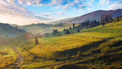 Wall Mural - rural landscape in carpathian mountains of ukraine. alpine countryside scenery with grassy meadows and forested rolling hills in autumn. beautiful view of the valley near borzhava ridge on a foggy day