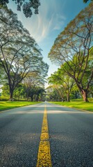 Wall Mural - a scenic park, verdant green grass and towering trees frame a clear blue sky, while an asphalt road stretches into the distance, presenting a tranquil nature landscape perfect.