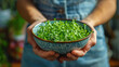 © Neha - Woman hands hold bowl with microgreen