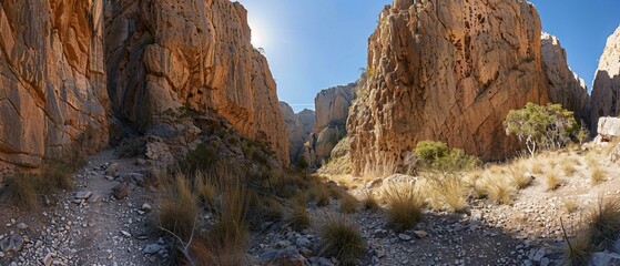 Wall Mural - grand canyon