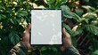 © Samira - Mockup image of a man holding tablet pc with blank white desktop screen over green nature background