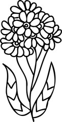 Wall Mural - Line art hand drawn flower, decorative flower design