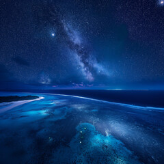 Wall Mural - starry night sky over the ocean with a beach and a body of water