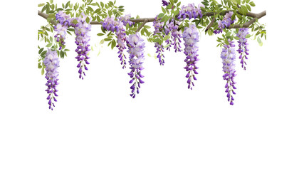 Wall Mural - A purple vine with purple flowers hanging from it