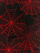 © Thi Le - Red spider web on black background