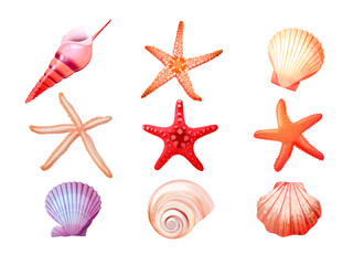 Wall Mural - Realistic seashells starfish. 3d star fish clam conch seashell coastal beach travel elements, sea shells underwater aquarium marine animal mollusk scallop exact vector illustration