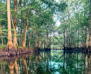 Sticker - water and trees surround the forest, surrounded by small trees