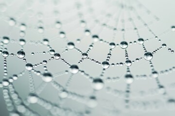 A detailed macro shot of raindrops on a spider web, showcasing the intricate beauty of natural phenomena
