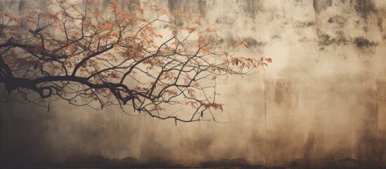 Wall Mural - the abstract tree casts leaf shaped shadows on a textured wall the wall is brown with roughness and 