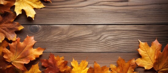 Wall Mural - Flat lay of dry autumn leaves from a maple tree on a wooden table providing copy space for text