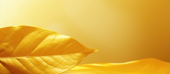 Wall Mural - a background with a shiny texture resembling gold foil on a yellow leaf is displayed in the copy spa