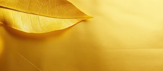 Wall Mural - a background image with a shiny yellow leaf gold foil texture provides a perfect copy space for your