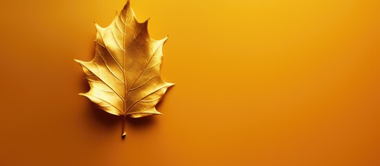 Wall Mural - a background with a shiny texture resembling gold foil on a yellow leaf is displayed in the copy spa