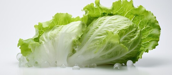 Wall Mural - an image of an iceberg lettuce with a white background providing ample copy space for additional con