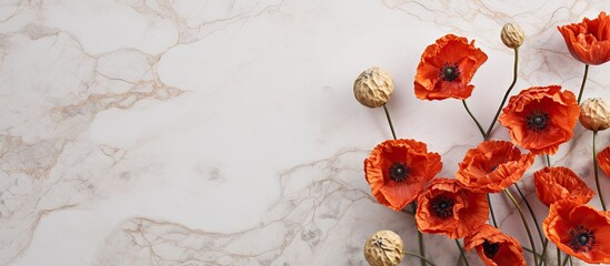 Wall Mural - an overhead shot of dry poppy heads resting on a marble background with ample copy space