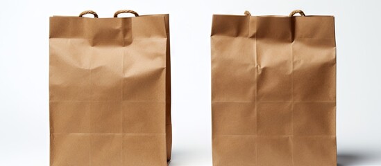 Poster - An isolated white background showcases two identical brown paper bags with ample space for text or images