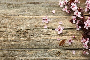 Wall Mural - Spring branch with beautiful blossoms, petals and leaves on wooden table, top view. Space for text