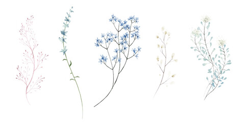 Wall Mural - Watercolor painted floral clipart set. Blue, pink wild flowers, branches, leaves and twigs. Meadow plants isolated collection.