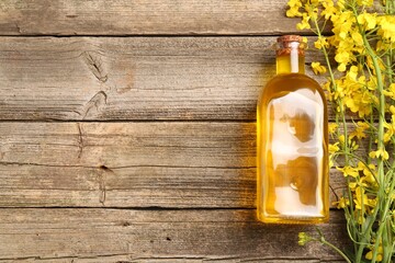 Rapeseed oil in glass bottle and beautiful yellow flowers on wooden table, flat lay. Space for text