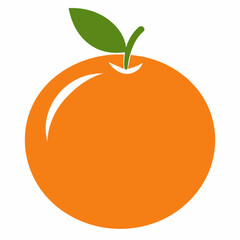 Wall Mural - orange fruit vector illustration