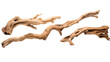 © BlazingDesigns - Collection of driftwood isolated on transparent png background. Pieces of river drift wood.