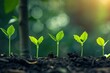 © SUPHANSA - Reap the rewards of smart investments through compelling visuals