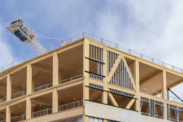 the cross laminated wood vertical supports and interior ceilings of a mass (solid) timber multi stor