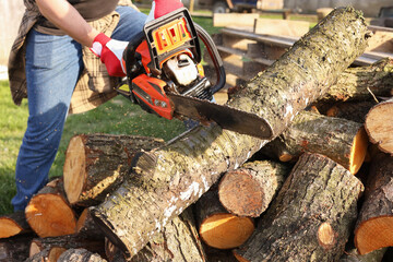 Wall Mural - Man sawing wood on sunny day, closeup view