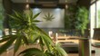 © QuietWord - health forum discussing cannabis legislation, with cannabis leaves on screen