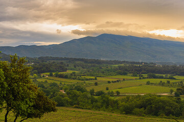 Wall Mural - 2024-05-14 LUSH COUNTRY SIDE IN THE BEDOIN AREA OF PROVENCE FRANCE WITH A VIEW OF A GREEN VALLEY AND CLOUD COVERED MOUNT VONTOUX