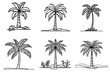 © Luka - collection of line art palm tree drawings