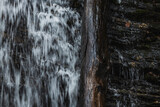 Fototapeta Pomosty - Water dripping down a rock wall and a tree trunk