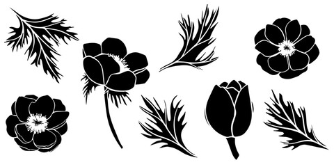 Wall Mural - Vector anemone flowers and leaves. Hand drawn outline silhouette floral set of isolated illustration. Botanical art for wedding anniversary, birthday, invitations.