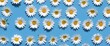 © anetlanda - Chamomile flowers collection on blue. Set of colorful Chamomile or Daisy flowers background, top view. Floral pattern.,