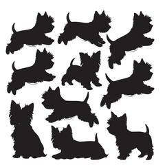 Canvas Print - Yorkshire Terrier Dog Silhouette Vector Set