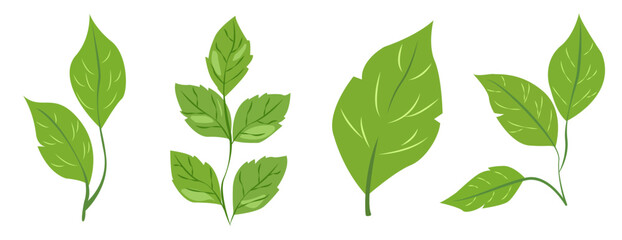 featuring eight different types of green leaves. Each leaf showcases unique shapes and vein patterns. graphic is simple, clean, and vibrant, ideal for nature-themed designs and eco-friendly projects