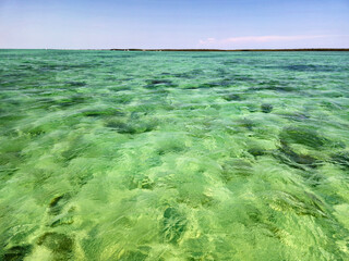 Wall Mural - Clear waters of Biscayne National Park, Florida on clear sunny summer afternoon.