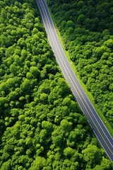 Wall Mural - road in the middle of the forest aerial view Generative AI