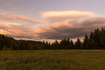 Wall Mural - Dramatic clouds at sunset over grassy field and trees in the foothills of the Columbia Gorge, Washington