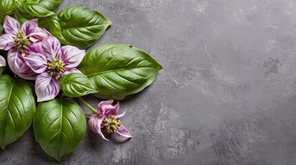 Wall Mural - Pink Flowers and Green Leaves on Gray Background