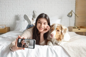 Wall Mural - Young woman with Australian Shepherd dog taking selfie in bedroom