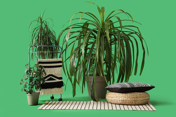 Wall Mural - Plants with pouf and rug on green background
