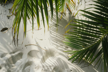 Wall Mural - nice white sand on the beach and palm tree