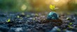 © Purichaya - Earth globe with sprouting tree, nature background, environmental conservation, ecofriendly concept