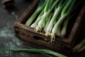 Wall Mural - Fresh spring onions in a wooden box on a dark rustic background