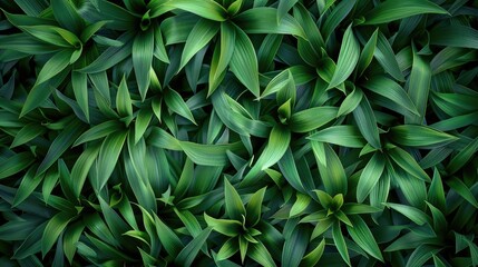 Canvas Print - Background of green grass with long leaves texture