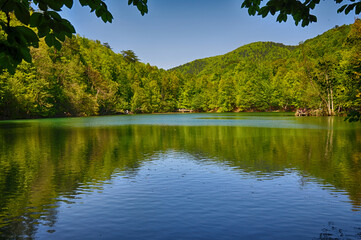 Wall Mural - Beautiful lake and spring landscape in Seven Lakes, Yedigoller National Park Bolu, Turkey